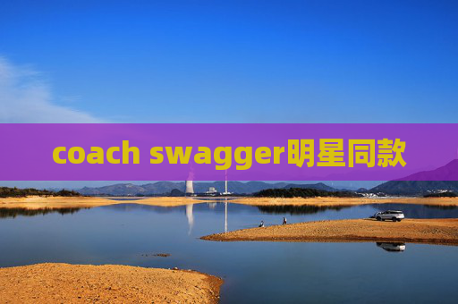 coach swagger明星同款